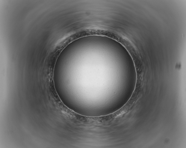X0000091970870200709131336