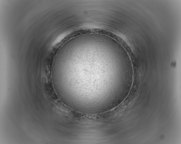 X0000091970871200709131336