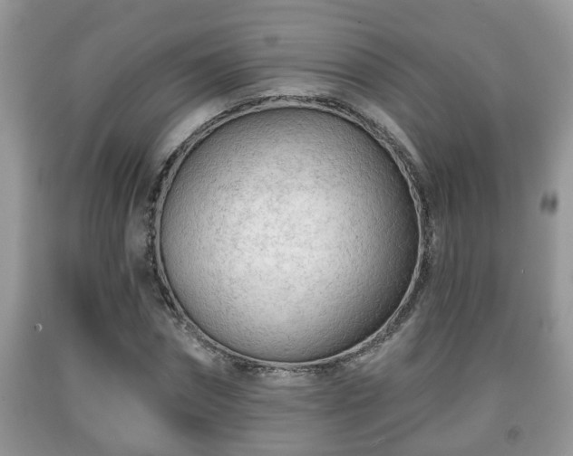 X0000091970874200709131336