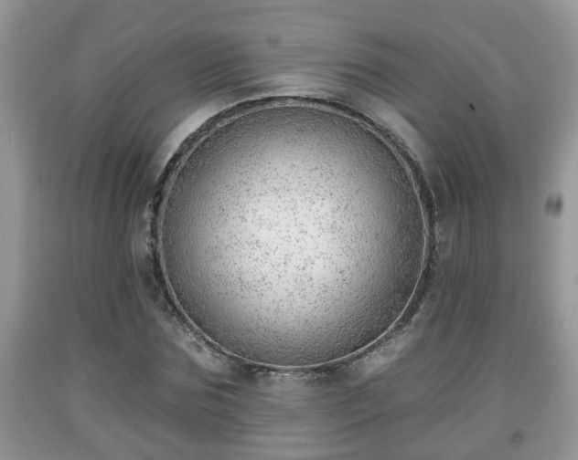 X0000091970875200709131336
