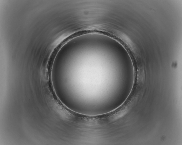 X0000091970876200709131336