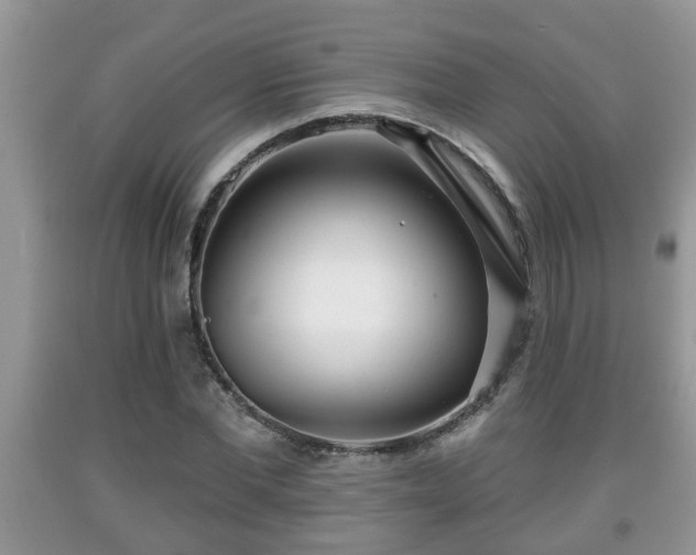 X0000091970877200709131336