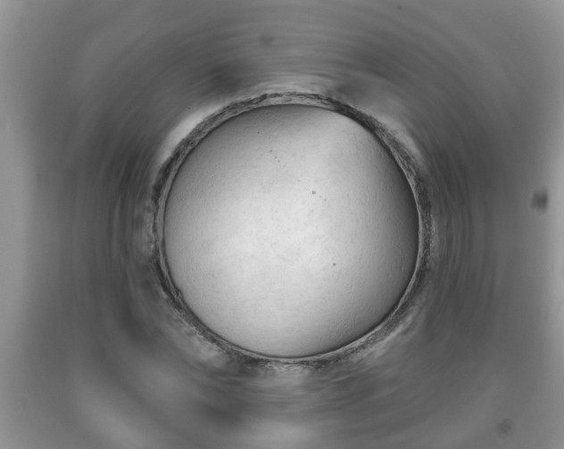 X0000091970878200709131336
