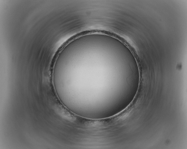 X0000091970879200709131336