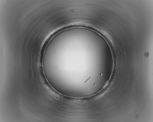 X0000091970880200709131336