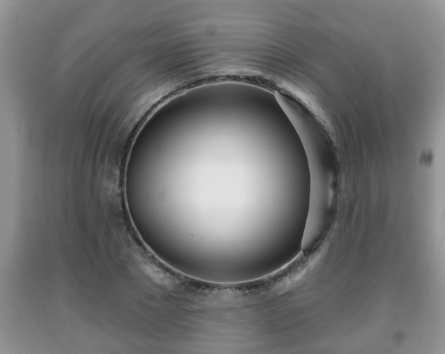X0000091970881200709131336