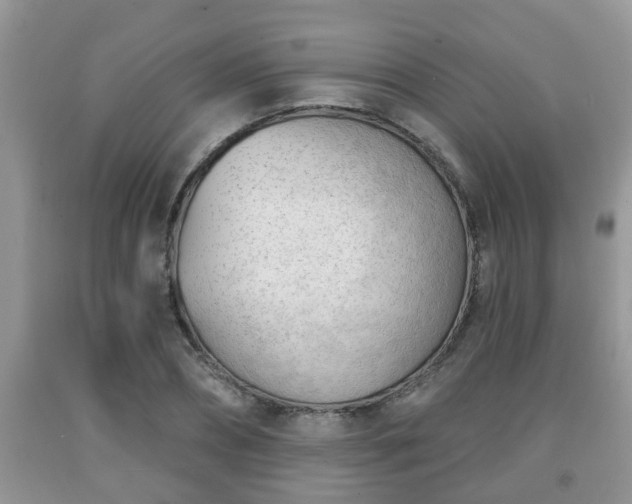 X0000091970882200709131336