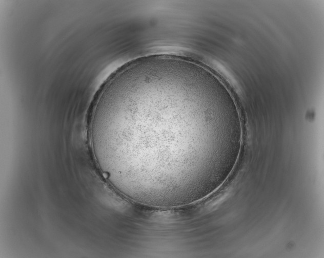 X0000091970883200709131336