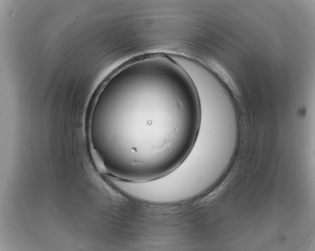 X0000091970884200709131336