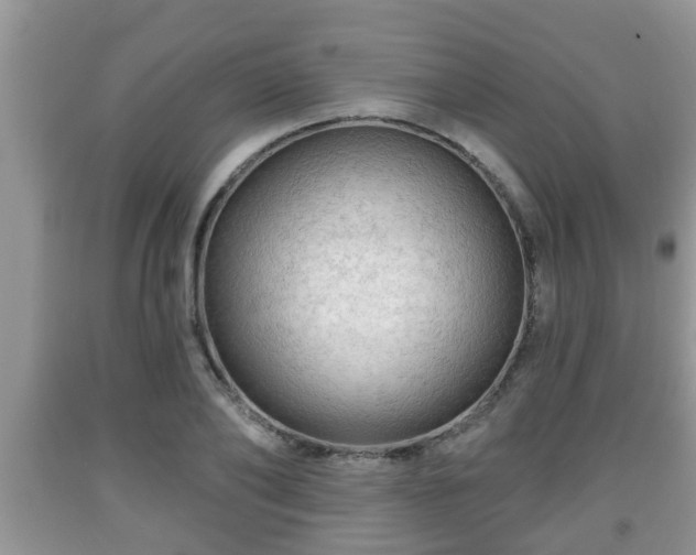 X0000091970886200709131336