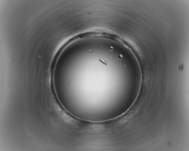 X0000091970888200709131336
