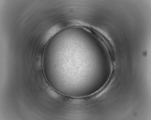 X0000091970889200709131336