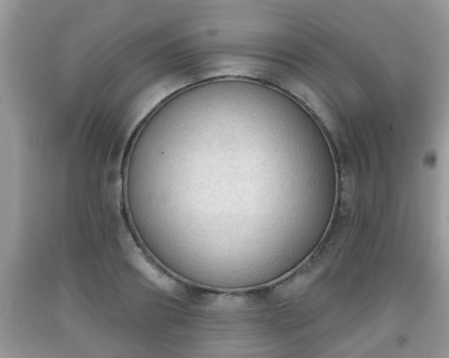 X0000091970890200709131336
