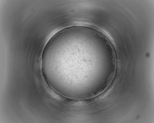 X0000091970891200709131335