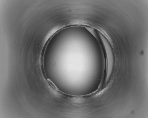X0000091970893200709131335