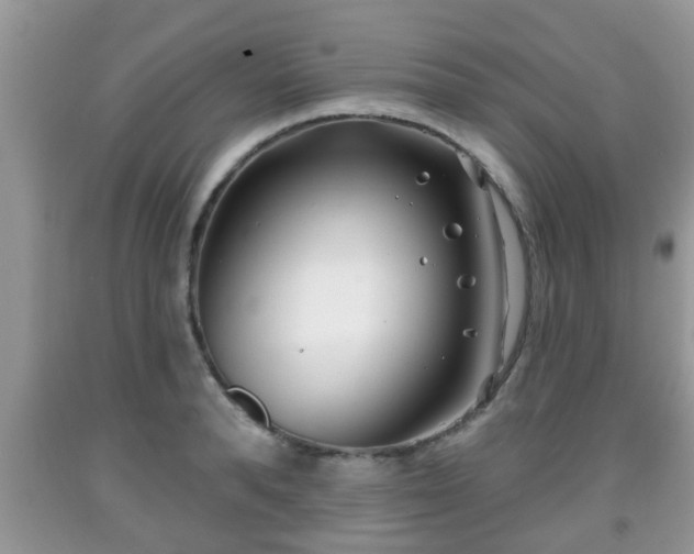 X0000091970896200709131335