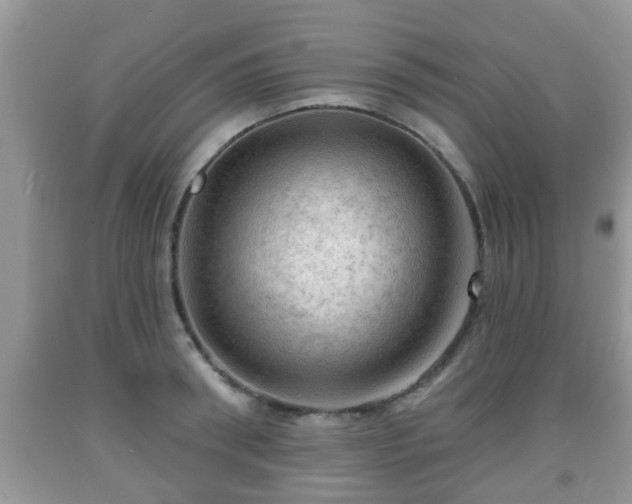 X0000091970898200709131335