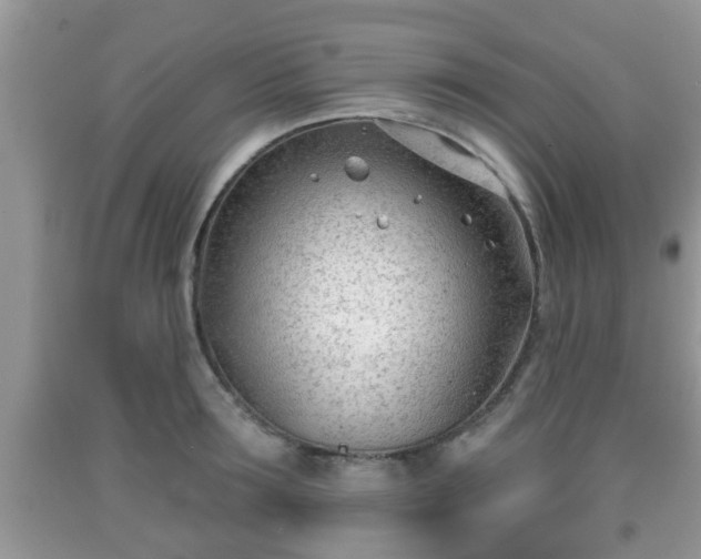 X0000091970899200709131335