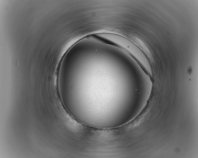 X0000091970900200709131335