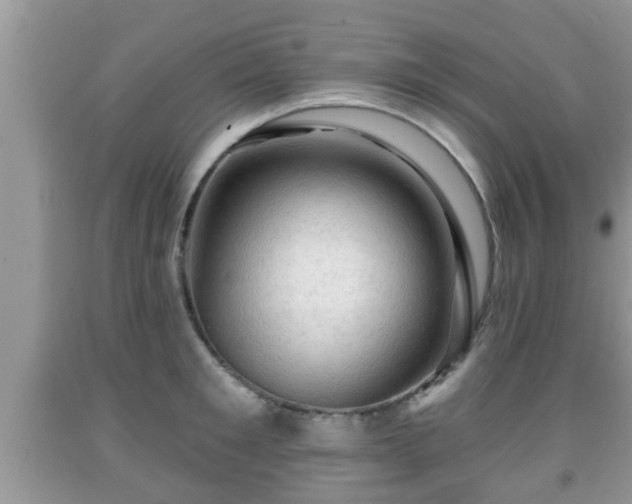 X0000091970901200709131335