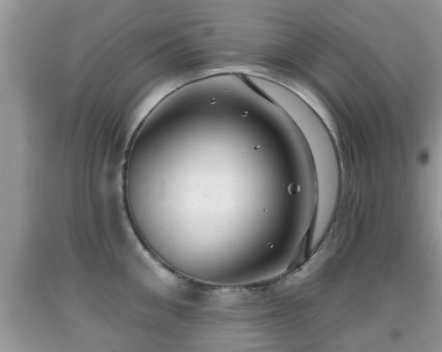 X0000091970906200709131335