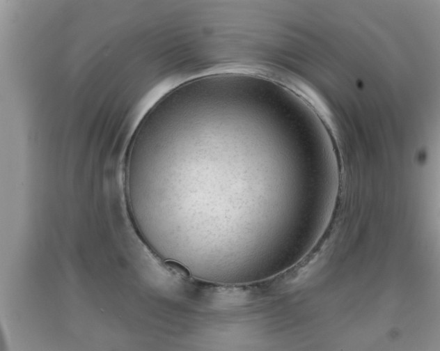 X0000091970907200709131335