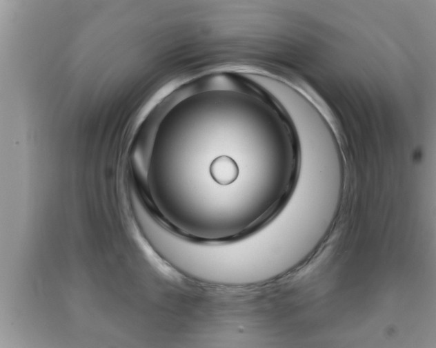 X0000091970909200709131335