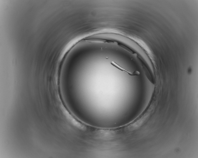 X0000091970910200709131335