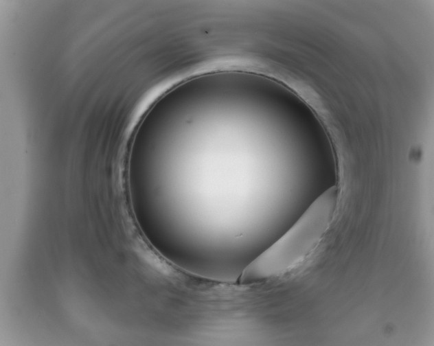 X0000091970912200709131335