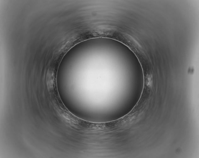 X0000091970915200709131334