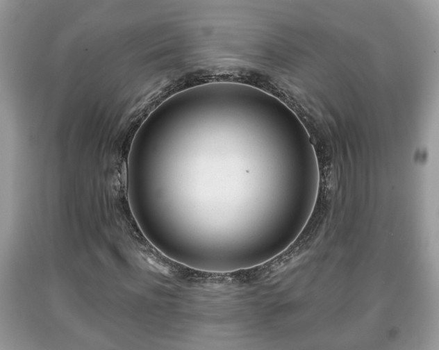 X0000091970916200709131334