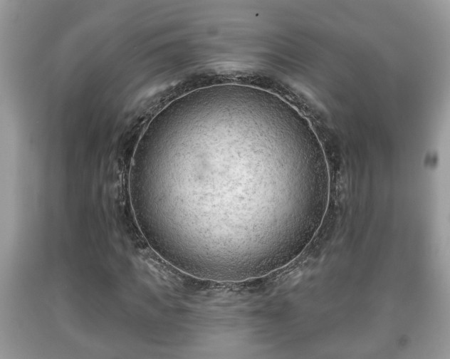 X0000091970917200709131334