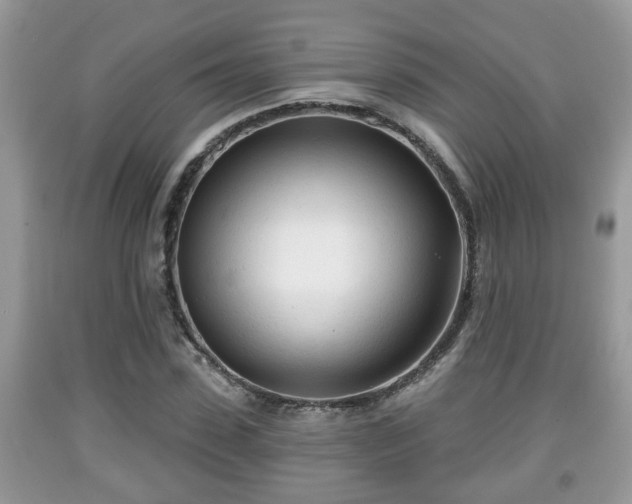 X0000091970923200709131334