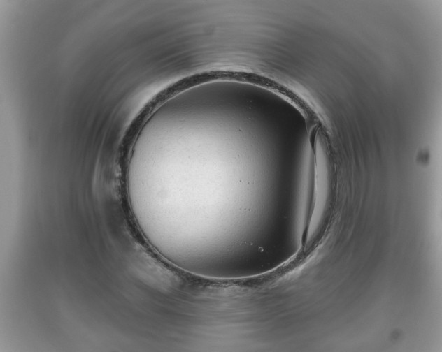 X0000091970926200709131334