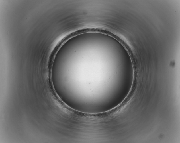 X0000091970927200709131334