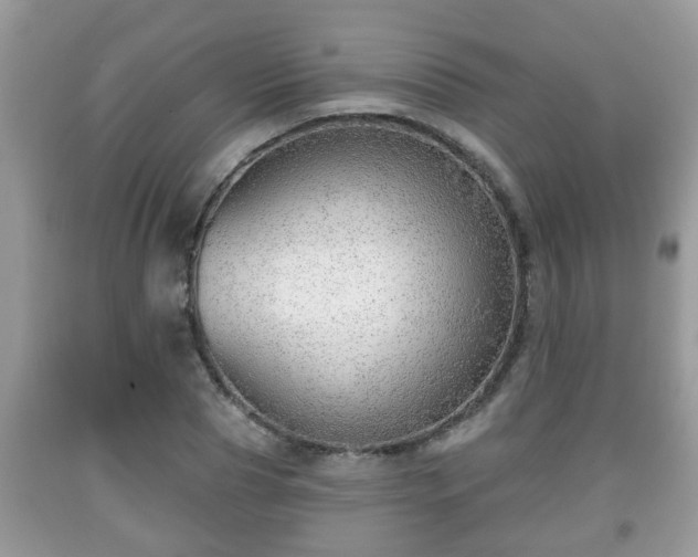 X0000091970929200709131335