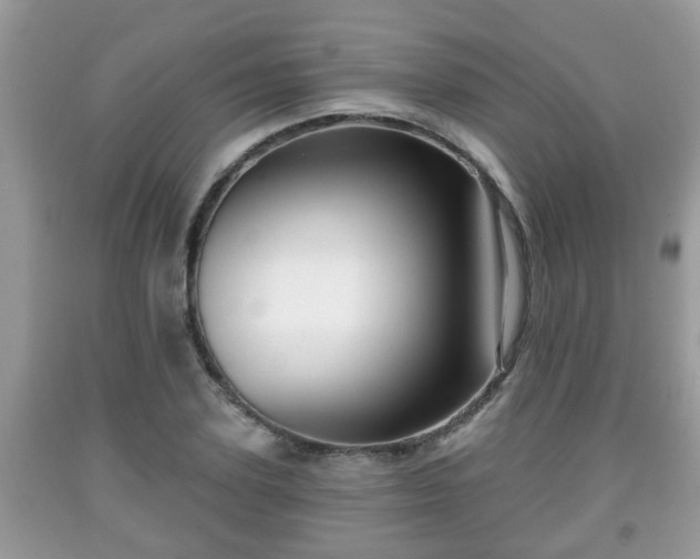 X0000091970931200709131335