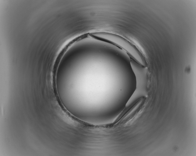 X0000091970932200709131335