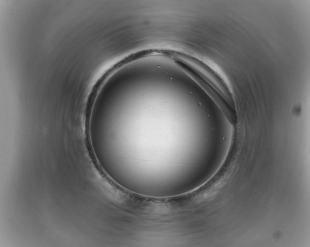 X0000091970935200709131335