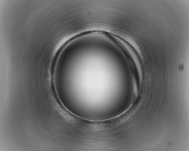 X0000091970936200709131335