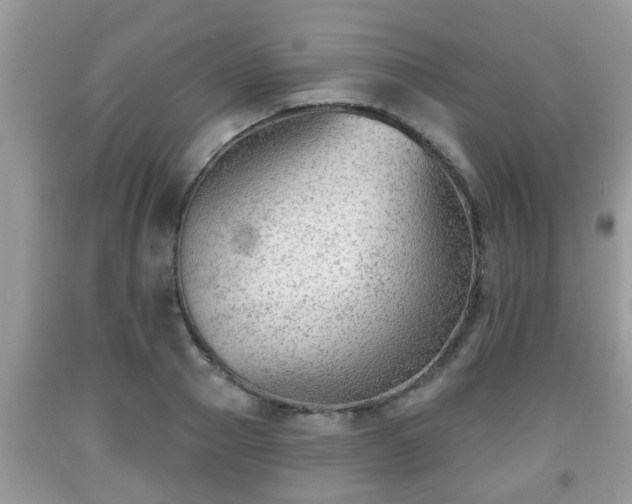 X0000091970937200709131335