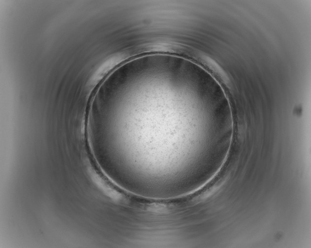 X0000091970938200709131335