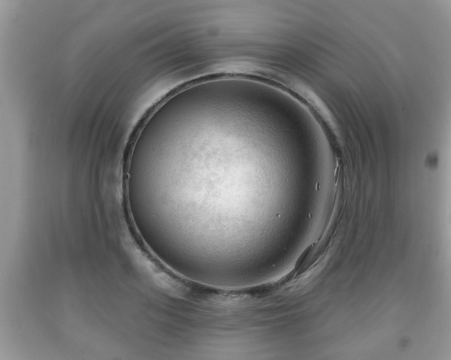 X0000091970939200709131335