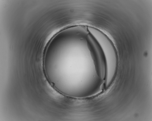 X0000091970941200709131335