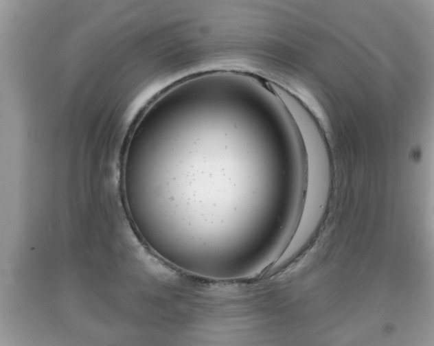 X0000091970944200709131335
