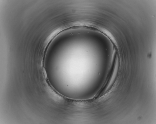 X0000091970946200709131335