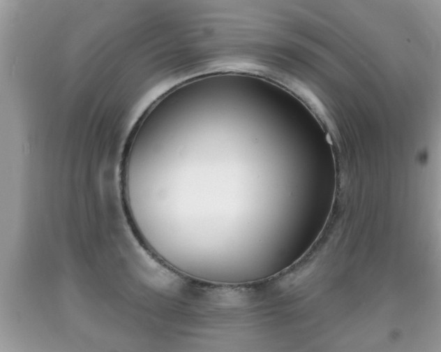 X0000091970947200709131335