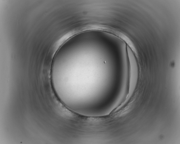 X0000091970954200709131335