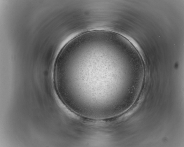 X0000091970957200709131335