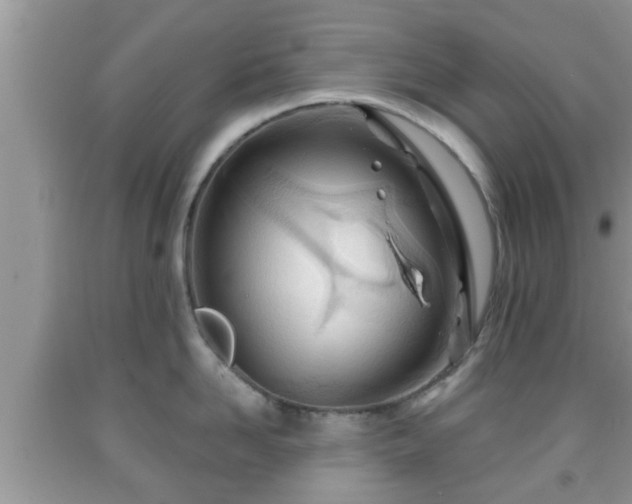 X0000091970958200709131335
